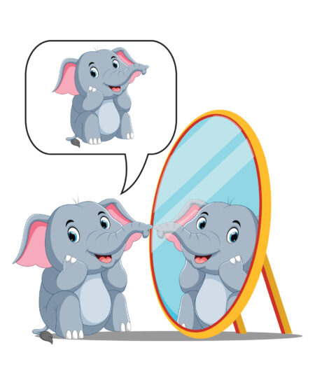 093_I_1_I_Am_Ollie-0aaa