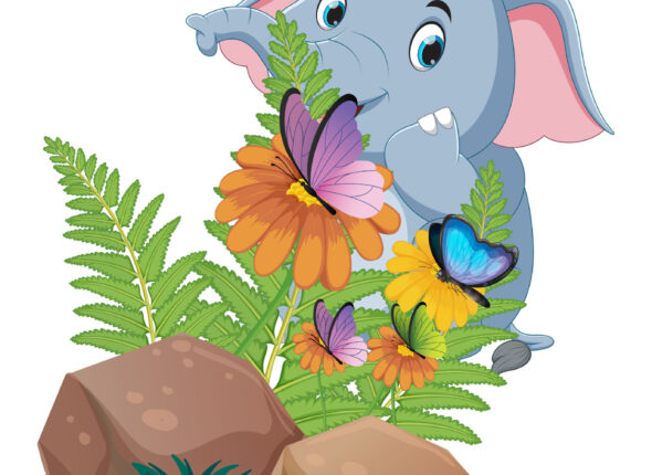 024_On_1_Butterflies_on_Flowers-0aaa